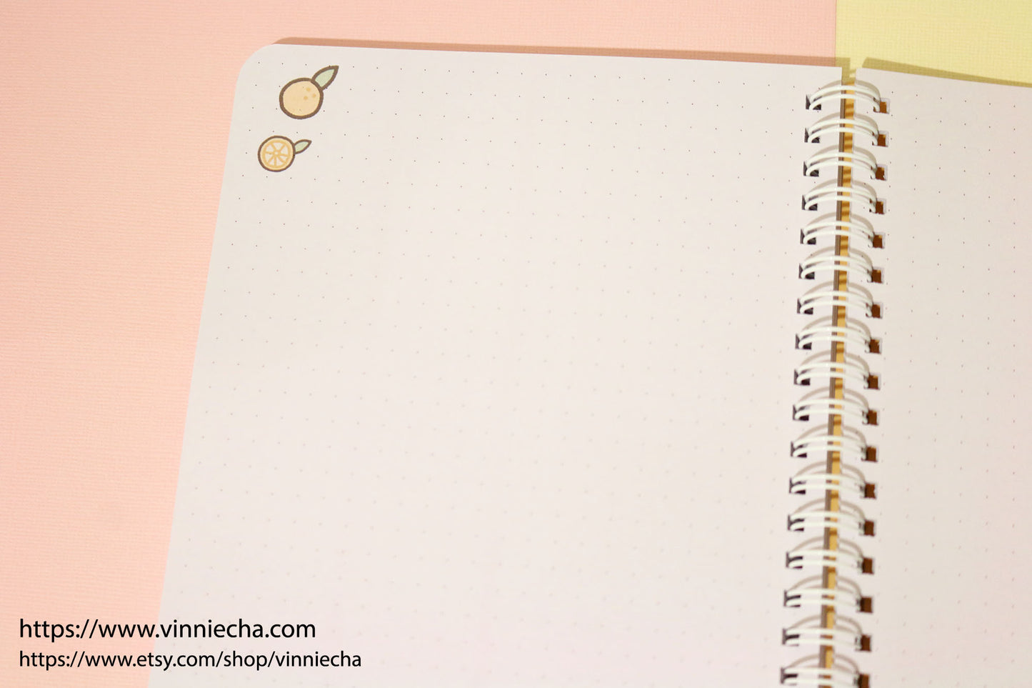 Capybara Bullet Journal