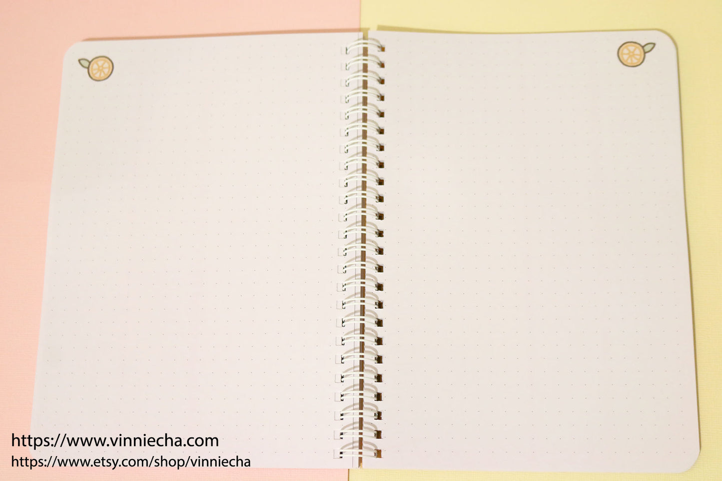 Capybara Bullet Journal