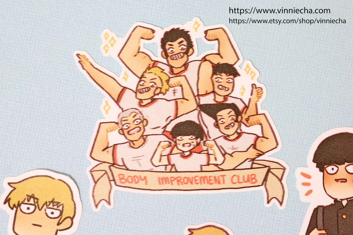 MP100 Vinyl Stickers | Set A